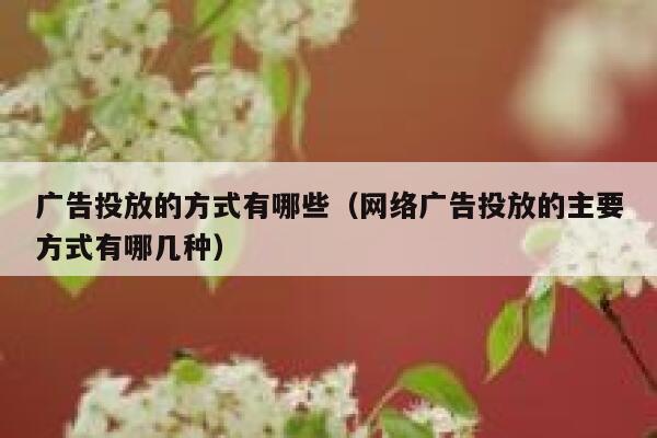广告投放的方式有哪些(网络广告投放的主要方式有哪几种) 第1张 广告投放的方式有哪些(网络广告投放的主要方式有哪几种) 第1张