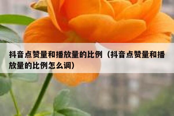 抖音点赞量和播放量的比例（抖音点赞量和播放量的比例怎么调） 第1张