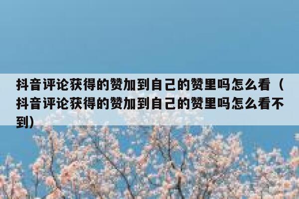抖音评论获得的赞加到自己的赞里吗怎么看（抖音评论获得的赞加到自己的赞里吗怎么看不到） 第1张