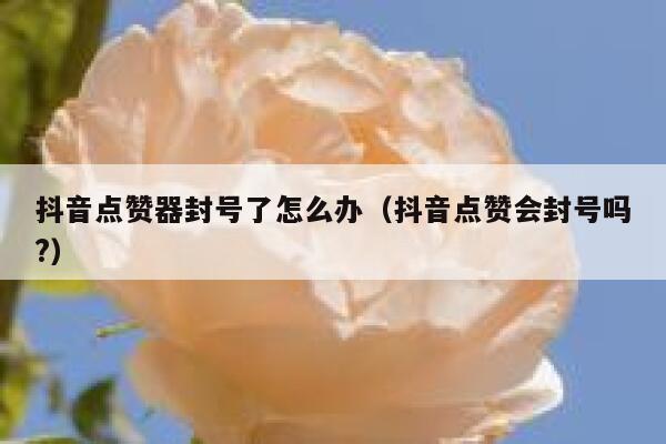 抖音点赞器封号了怎么办(抖音点赞会封号吗?) 第1张 抖音点赞器封号了怎么办(抖音点赞会封号吗?) 第1张