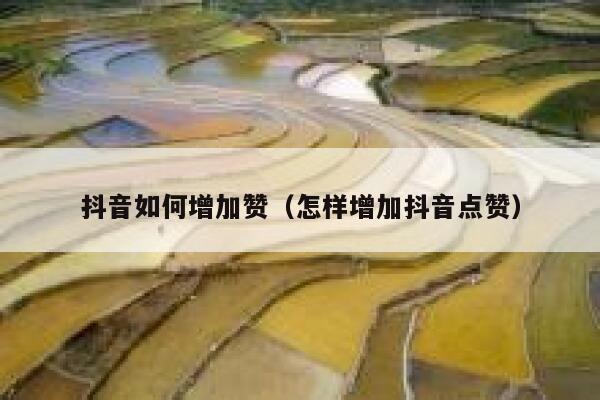 抖音如何增加赞(怎样增加抖音点赞) 第1张 抖音如何增加赞(怎样增加抖音点赞) 第1张