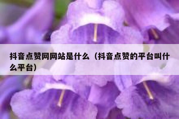 抖音点赞网网站是什么（抖音点赞的平台叫什么平台） 第1张