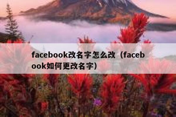 facebook改名字怎么改(facebook如何更改名字) 第1张 facebook改名字怎么改(facebook如何更改名字) 第1张