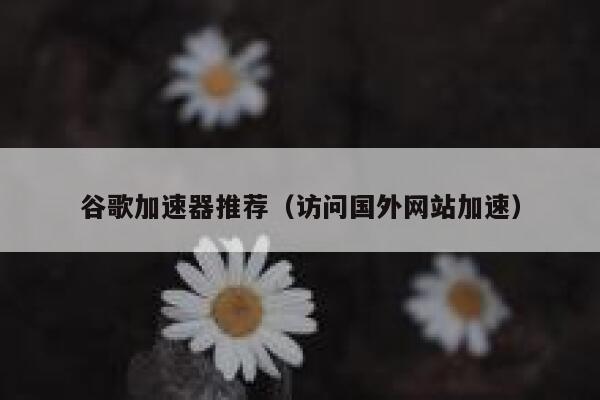 谷歌加速器推荐(访问国外网站加速) 第1张 谷歌加速器推荐(访问国外网站加速) 第1张