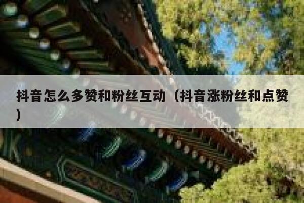 抖音怎么多赞和粉丝互动（抖音涨粉丝和点赞） 第1张