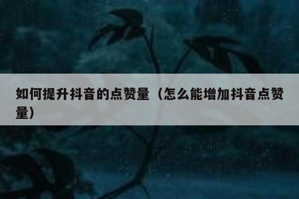 如何提升抖音的点赞量（怎么能增加抖音点赞量） 第1张