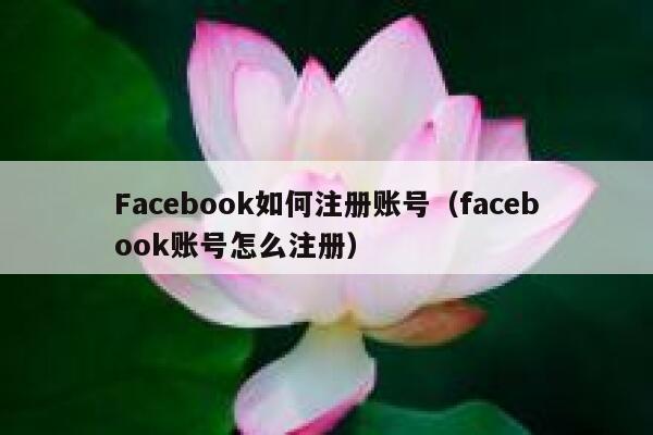 Facebook如何注册账号（facebook账号怎么注册） 第1张