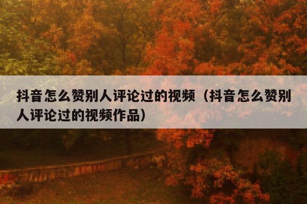 抖音怎么赞别人评论过的视频(抖音怎么赞别人评论过的视频作品) 第1张 抖音怎么赞别人评论过的视频(抖音怎么赞别人评论过的视频作品) 第1张