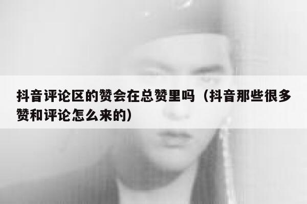 抖音评论区的赞会在总赞里吗(抖音那些很多赞和评论怎么来的) 第1张 抖音评论区的赞会在总赞里吗(抖音那些很多赞和评论怎么来的) 第1张