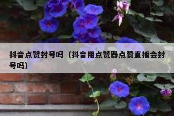 抖音点赞封号吗（抖音用点赞器点赞直播会封号吗） 第1张