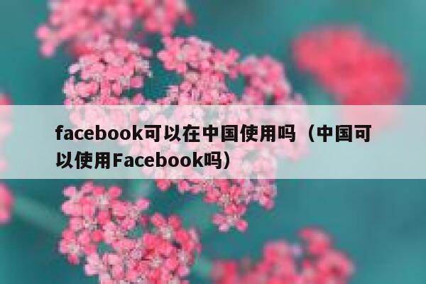 facebook可以在中国使用吗（中国可以使用Facebook吗） 第1张
