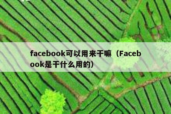 facebook可以用来干嘛（Facebook是干什么用的） 第1张