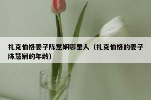 扎克伯格妻子陈慧娴哪里人（扎克伯格的妻子陈慧娴的年龄） 第1张
