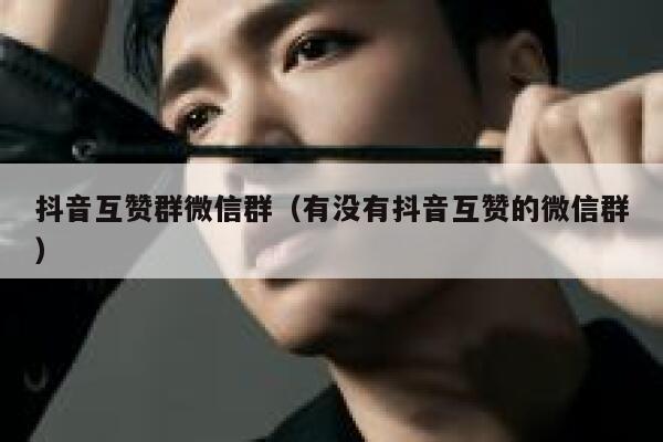 抖音互赞群微信群（有没有抖音互赞的微信群） 第1张