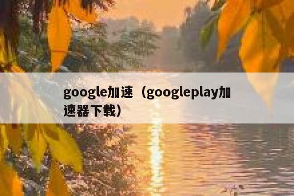 google加速（googleplay加速器下载） 第1张