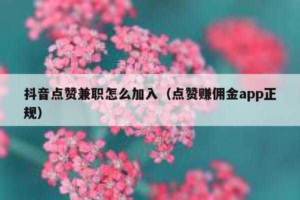 抖音点赞兼职怎么加入（点赞赚佣金app正规） 第1张