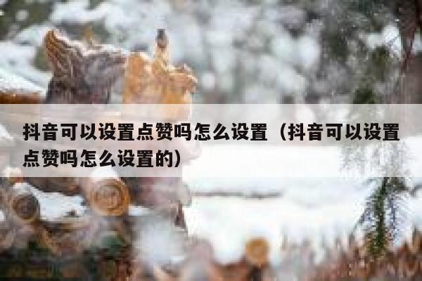 抖音可以设置点赞吗怎么设置（抖音可以设置点赞吗怎么设置的） 第1张