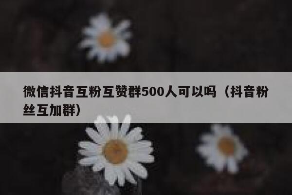 微信抖音互粉互赞群500人可以吗（抖音粉丝互加群） 第1张