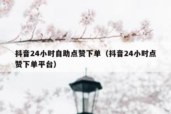 抖音24小时自助点赞下单（抖音24小时点赞下单平台） 第1张