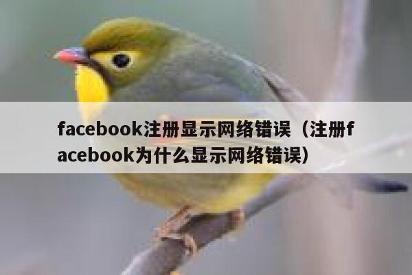 facebook注册显示网络错误（注册facebook为什么显示网络错误） 第1张