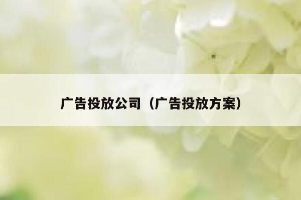 广告投放公司（广告投放方案） 第1张