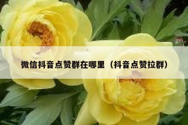微信抖音点赞群在哪里（抖音点赞拉群） 第1张