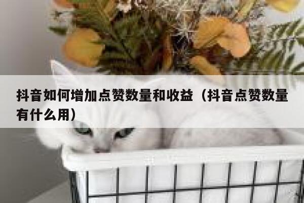 抖音如何增加点赞数量和收益（抖音点赞数量有什么用） 第1张