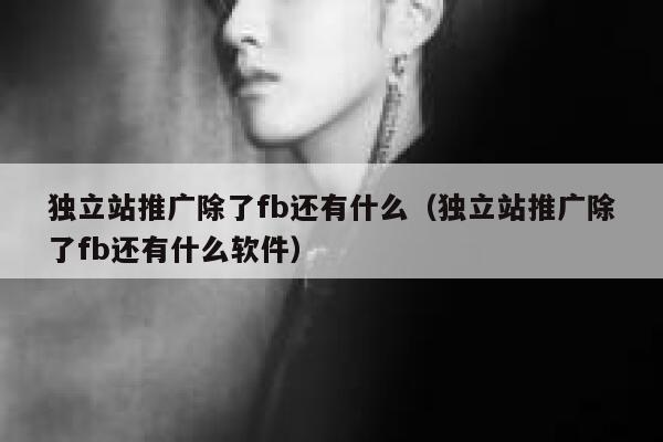 独立站推广除了fb还有什么（独立站推广除了fb还有什么软件） 第1张
