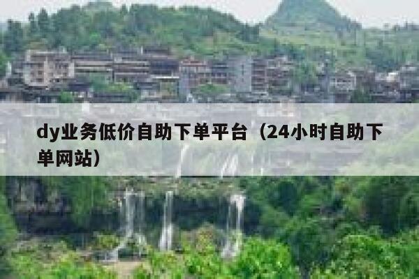 dy业务低价自助下单平台（24小时自助下单网站） 第1张