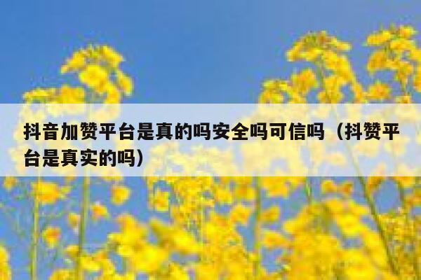 抖音加赞平台是真的吗安全吗可信吗（抖赞平台是真实的吗） 第1张