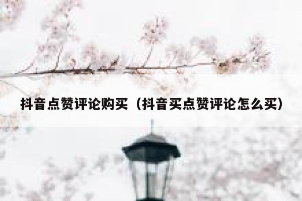抖音点赞评论购买(抖音买点赞评论怎么买) 第1张 抖音点赞评论购买(抖音买点赞评论怎么买) 第1张