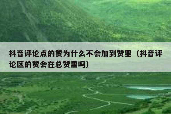 抖音评论点的赞为什么不会加到赞里(抖音评论区的赞会在总赞里吗) 第1张 抖音评论点的赞为什么不会加到赞里(抖音评论区的赞会在总赞里吗) 第1张