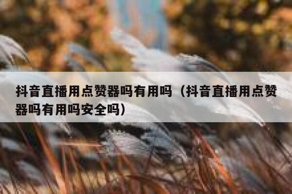 抖音直播用点赞器吗有用吗（抖音直播用点赞器吗有用吗安全吗） 第1张