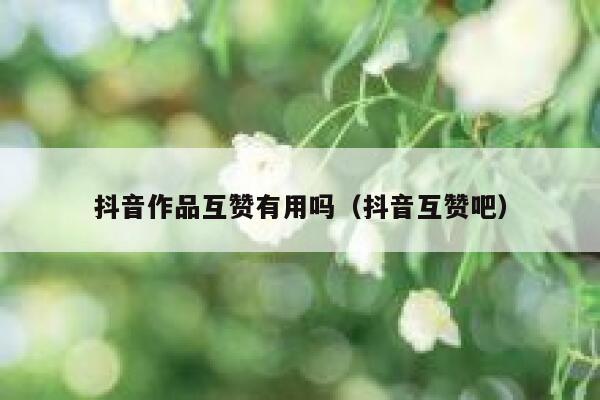 抖音作品互赞有用吗（抖音互赞吧） 第1张