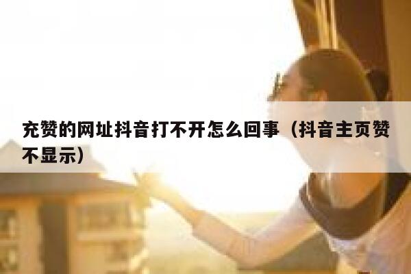 充赞的网址抖音打不开怎么回事（抖音主页赞不显示） 第1张