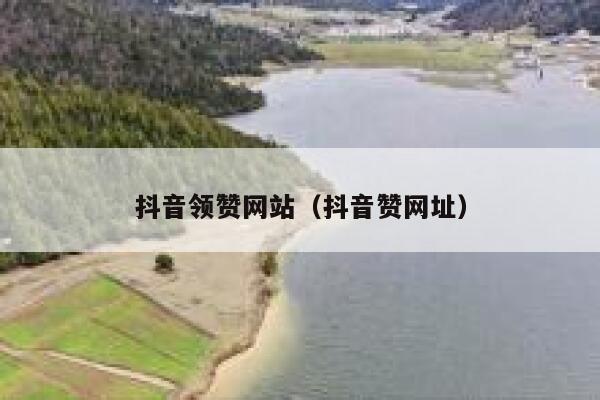 抖音领赞网站（抖音赞网址） 第1张