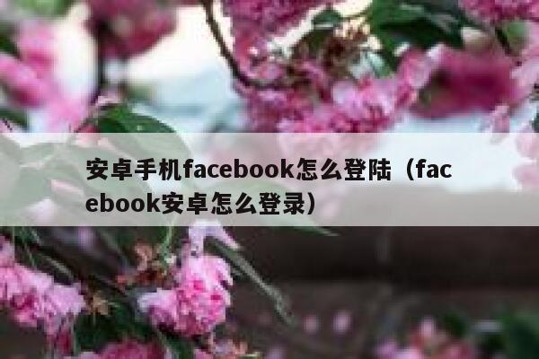 安卓手机facebook怎么登陆（facebook安卓怎么登录） 第1张