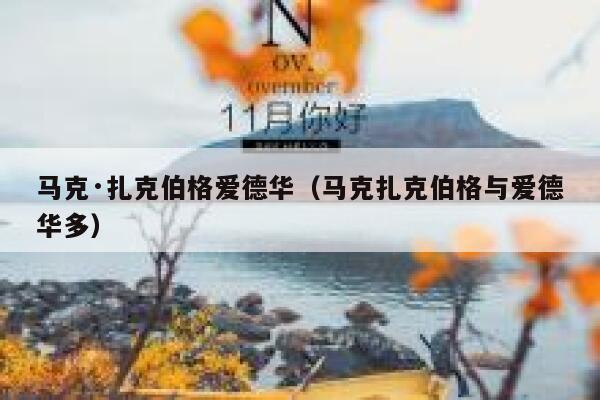 马克·扎克伯格爱德华(马克扎克伯格与爱德华多) 第1张 马克·扎克伯格爱德华(马克扎克伯格与爱德华多) 第1张