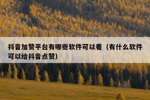 抖音加赞平台有哪些软件可以看（有什么软件可以给抖音点赞） 第1张