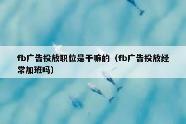 fb广告投放职位是干嘛的（fb广告投放经常加班吗） 第1张