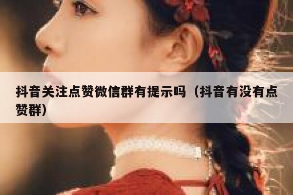 抖音关注点赞微信群有提示吗（抖音有没有点赞群） 第1张