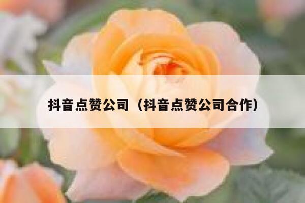 抖音点赞公司(抖音点赞公司合作) 第1张 抖音点赞公司(抖音点赞公司合作) 第1张