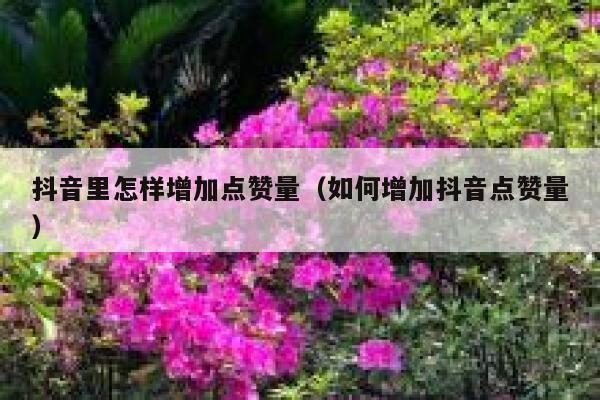 抖音里怎样增加点赞量(如何增加抖音点赞量) 第1张 抖音里怎样增加点赞量(如何增加抖音点赞量) 第1张