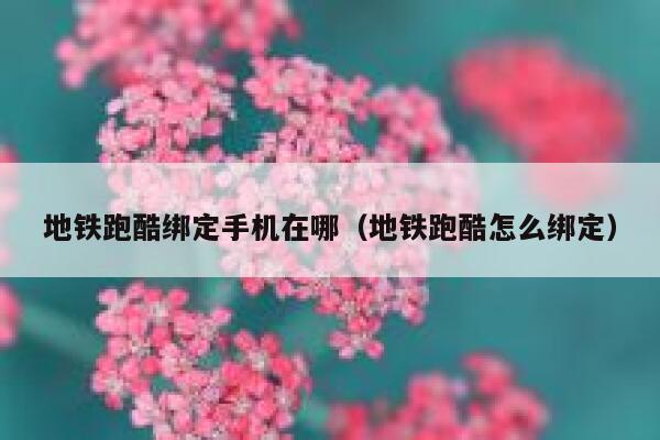 地铁跑酷绑定手机在哪(地铁跑酷怎么绑定) 第1张 地铁跑酷绑定手机在哪(地铁跑酷怎么绑定) 第1张