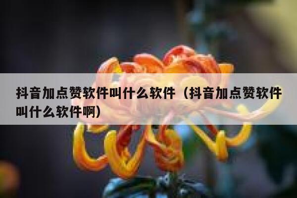 抖音加点赞软件叫什么软件（抖音加点赞软件叫什么软件啊） 第1张