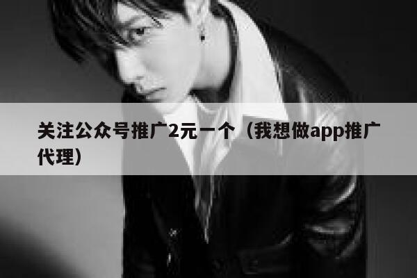 关注公众号推广2元一个（我想做app推广代理） 第1张