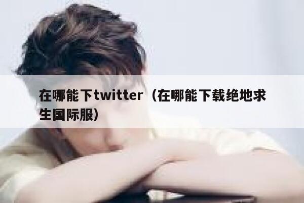在哪能下twitter（在哪能下载绝地求生国际服） 第1张