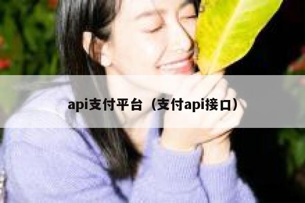 api支付平台（支付api接口） 第1张
