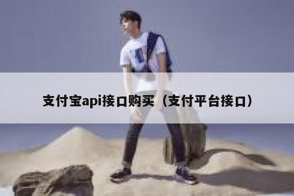 支付宝api接口购买（支付平台接口） 第1张