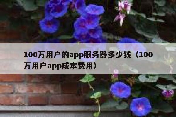 100万用户的app服务器多少钱（100万用户app成本费用） 第1张